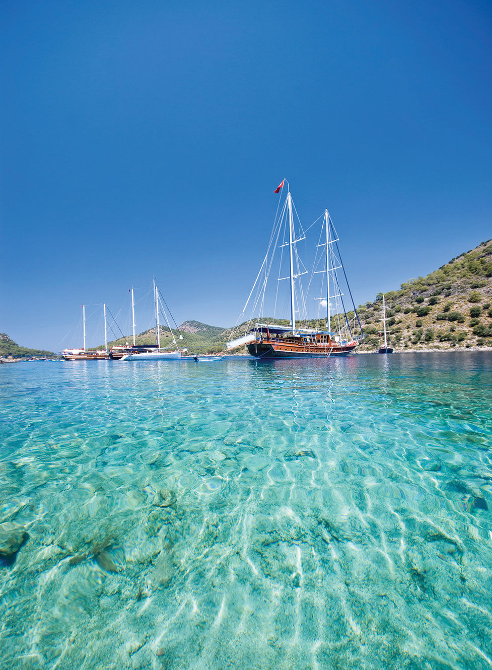 Blue Voyage